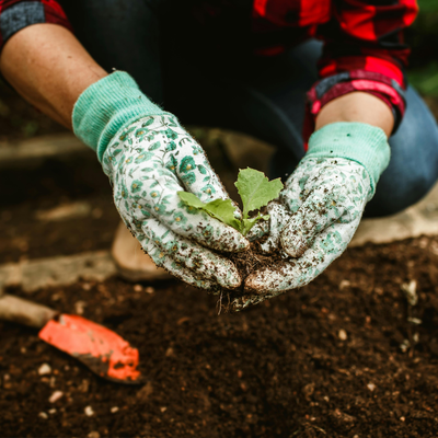 Spendenaktion von Interim Aid Cares für Assistenz Rheinau e.V. – Unterstützung für Gemeinschaftsraum und Naturgarten in Rheinau.