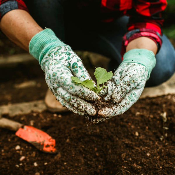 Spendenaktion von Interim Aid Cares für Assistenz Rheinau e.V. – Unterstützung für Gemeinschaftsraum und Naturgarten in Rheinau.
